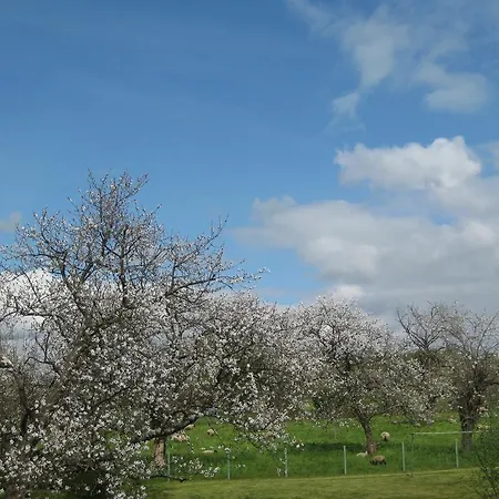 De La Balle De Golf